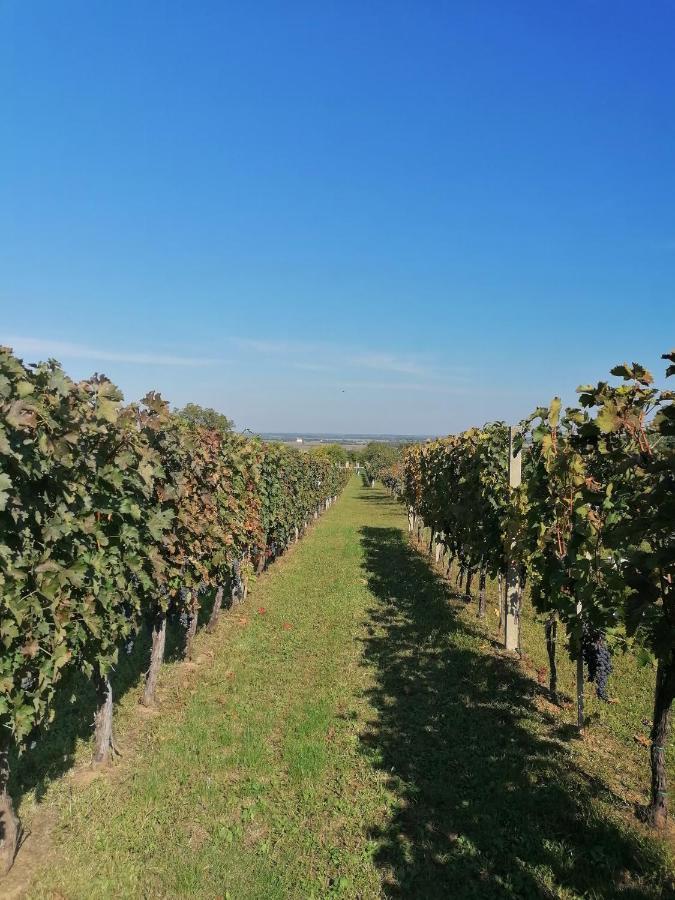 Baranja Black Hill'S Gajic エクステリア 写真